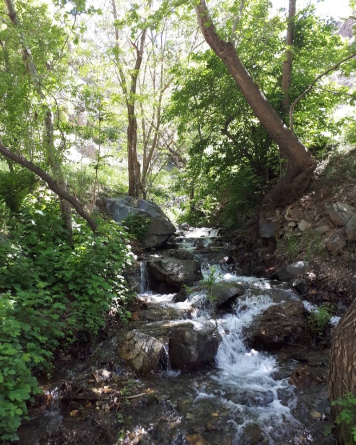 کوه پیمایی در ارتفاعات دارآباد