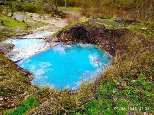 شب‌مانی بلیران