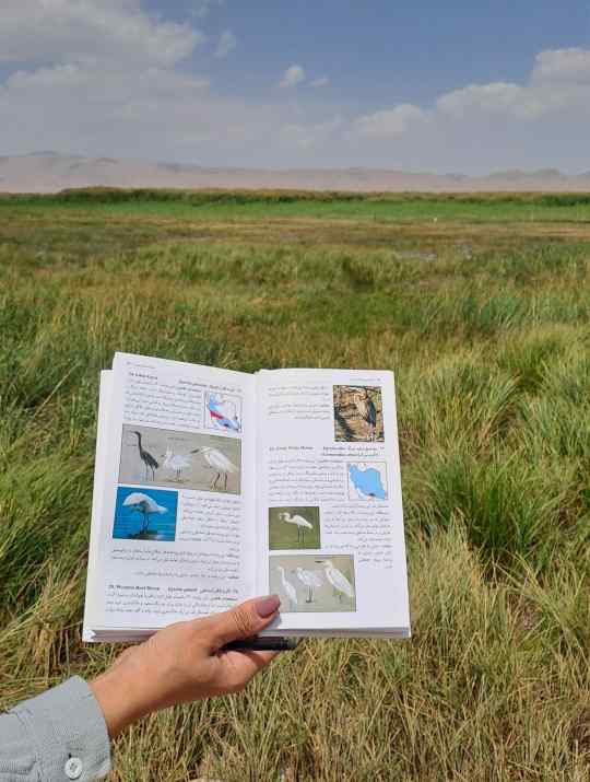 آشنایی با پرندگان ایران