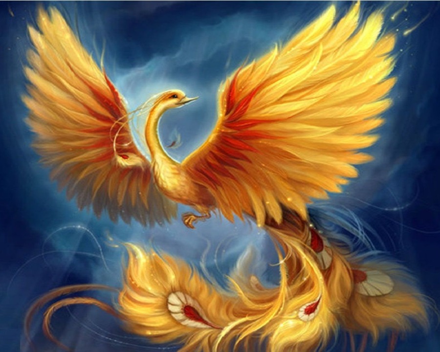 مدرسه سیمرغ آموزشی و توسعه فردی