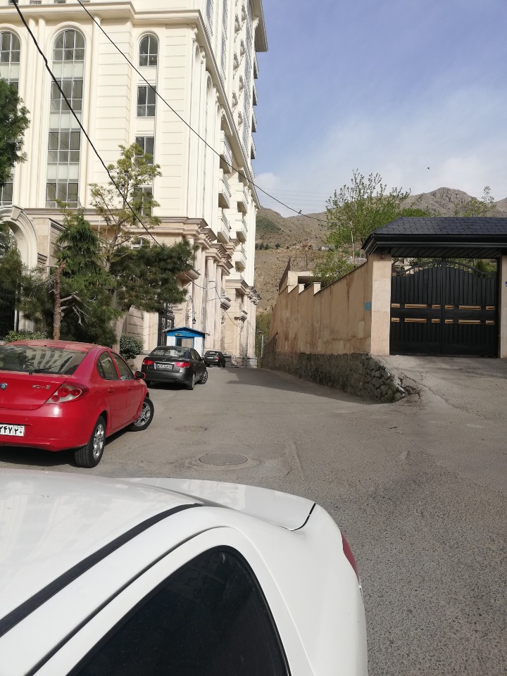 دوستان طبیعت ورزشی و هیجان انگیز