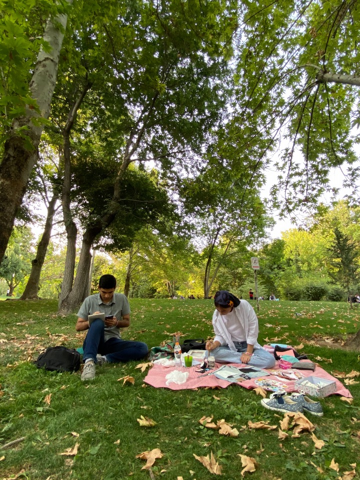 نقاشی روی طبیعت سرگرمی و تفریحی