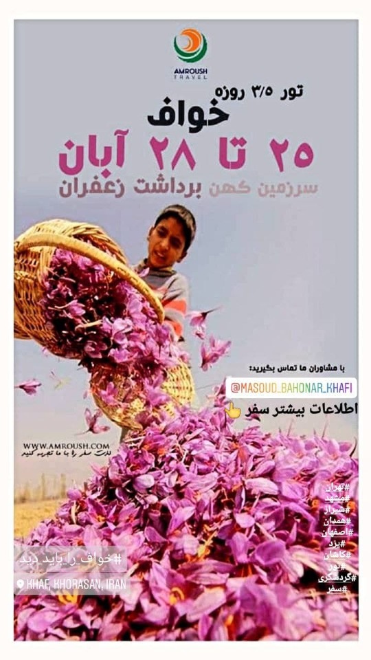تور برداشت زعفران خواف سرگرمی و تفریحی