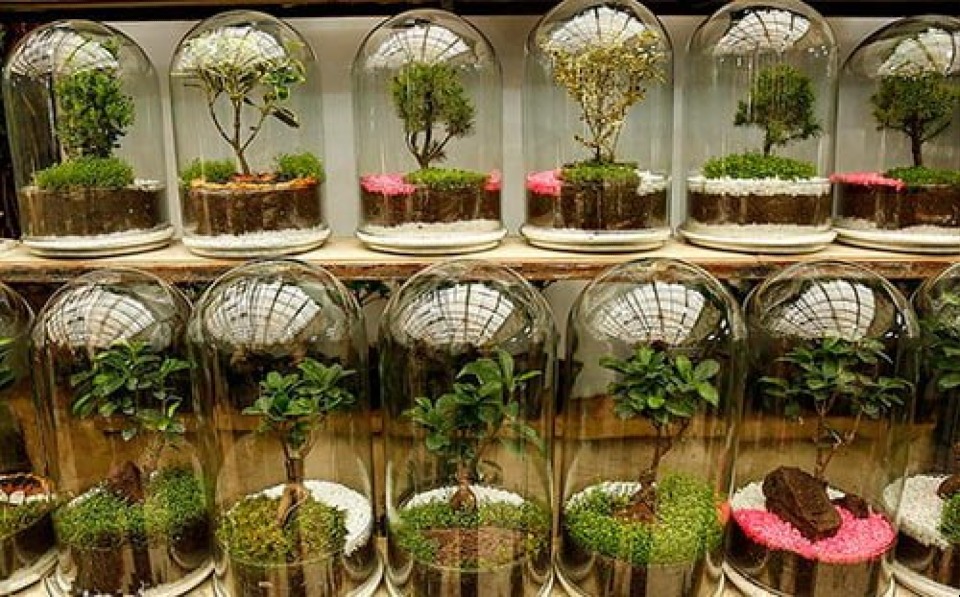 بازار گل و گیاه امام رضا (خاوران) فرهنگی و هنری