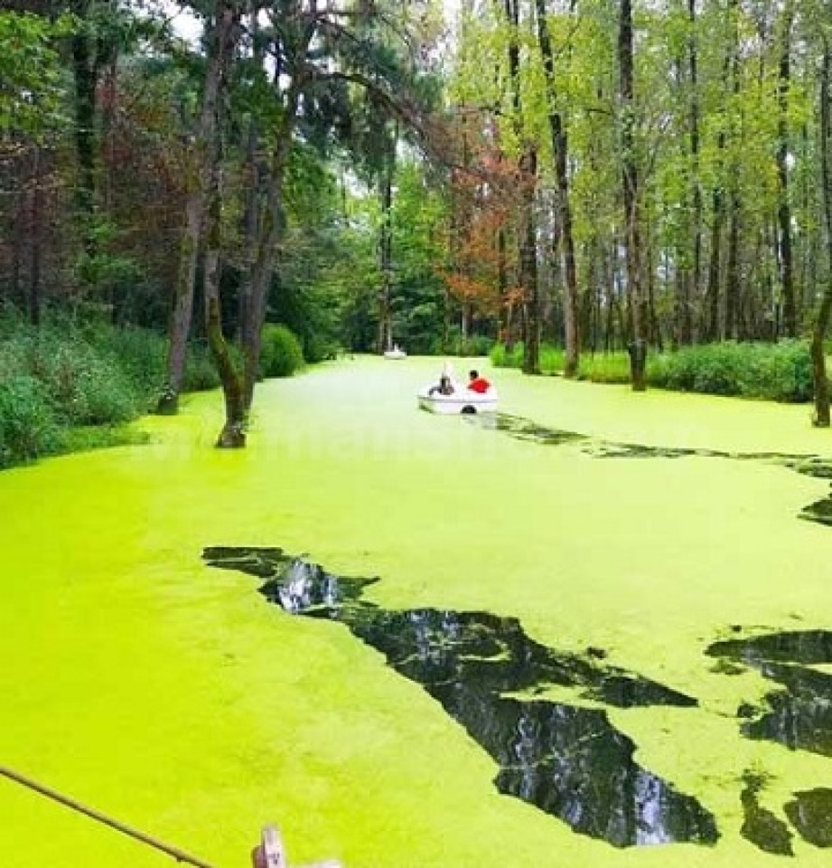 تور شاد یکروزه ماسوله و مرداب سراوان سفر و گردشگری
