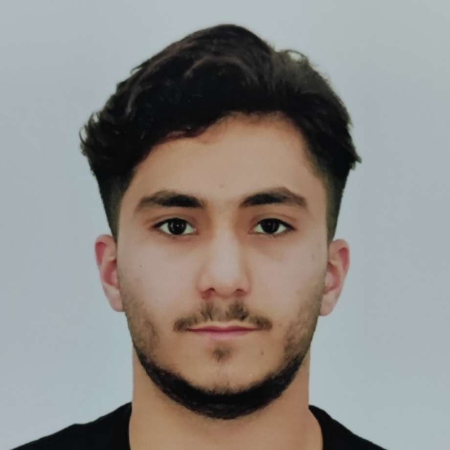 هادی کریمی